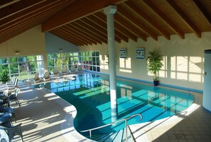 Pool - 5 star vacation apartment with indoor pool and wellness area use (Braunlage)