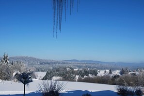 A snowy landscape with houses and trees, clear blue sky, and icicles hanging from a tree. - 5 star vacation apartment with indoor pool and wellness area use (Braunlage)
