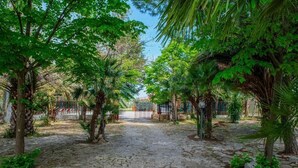 A cobblestone pathway flanked by lush green trees and a metal gate in the distance. - Villa Lucia (Lucera)