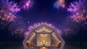 Una estructura en forma de domo geodésico con un dormitorio y sala de estar, rodeada de árboles y fuegos artificiales en el cielo.