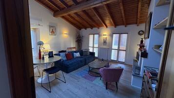 TV, fireplace, books