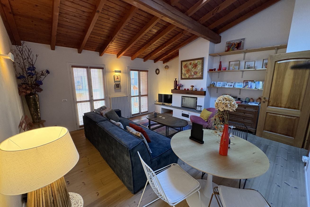 TV, fireplace, books