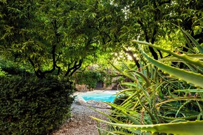 Property grounds - Don Paolo 2/4 people in a historic villa near Naples, Vesuvius, Pompeii, Caserta (Nola)