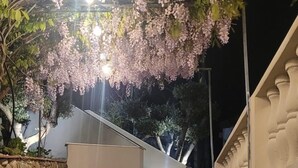 A stone staircase leading up to a building with a modern design, surrounded by flowering trees. - "Calla Bianca "Borgo al Sole smart working, private pool nature and relaxation (Colombiera-Molicciara)
