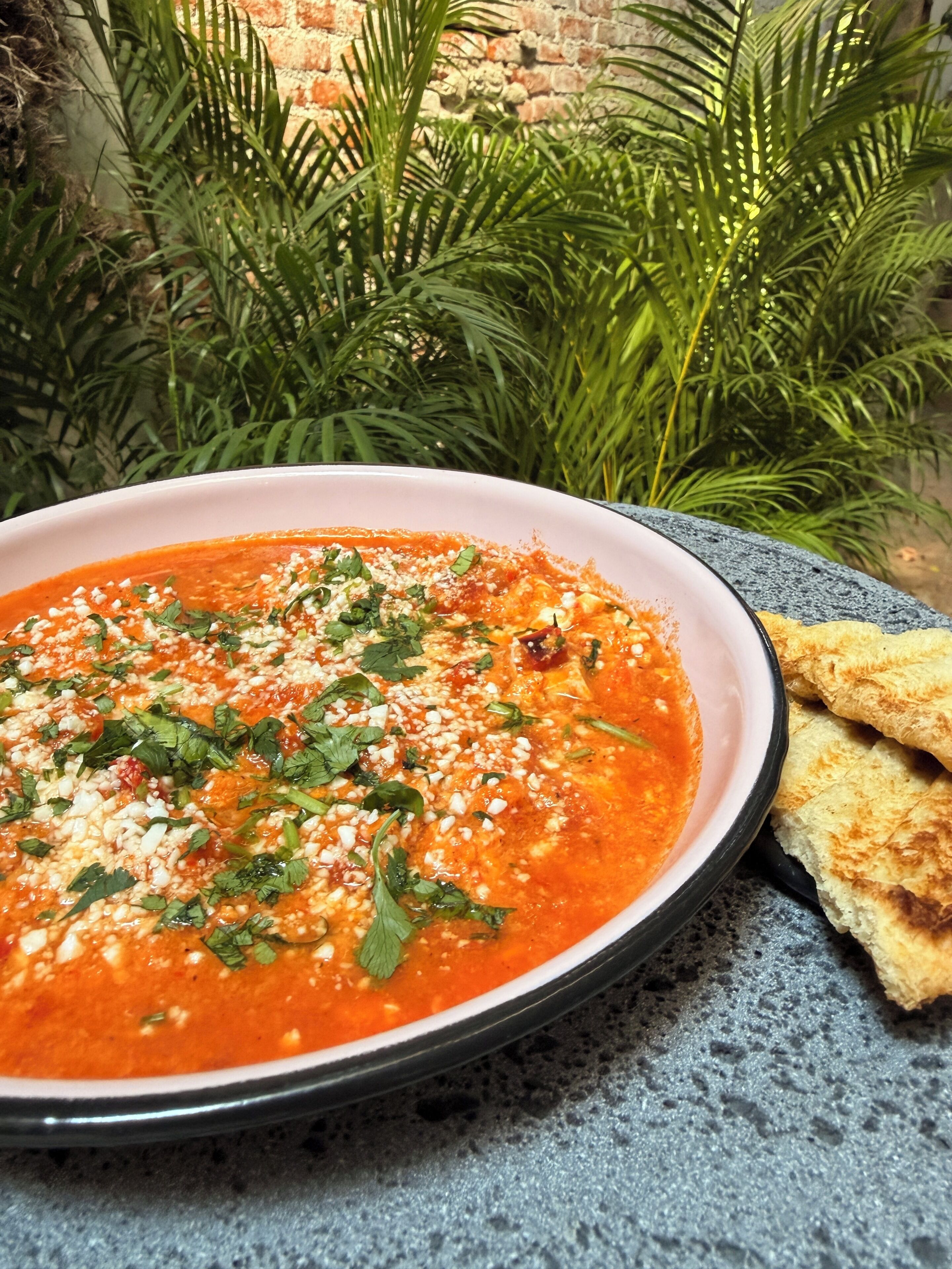 A bowl of tomato soup garnished with herbs and cheese, accompanied by toasted bread, set on a textured surface with a brick wall and greenery in the background.