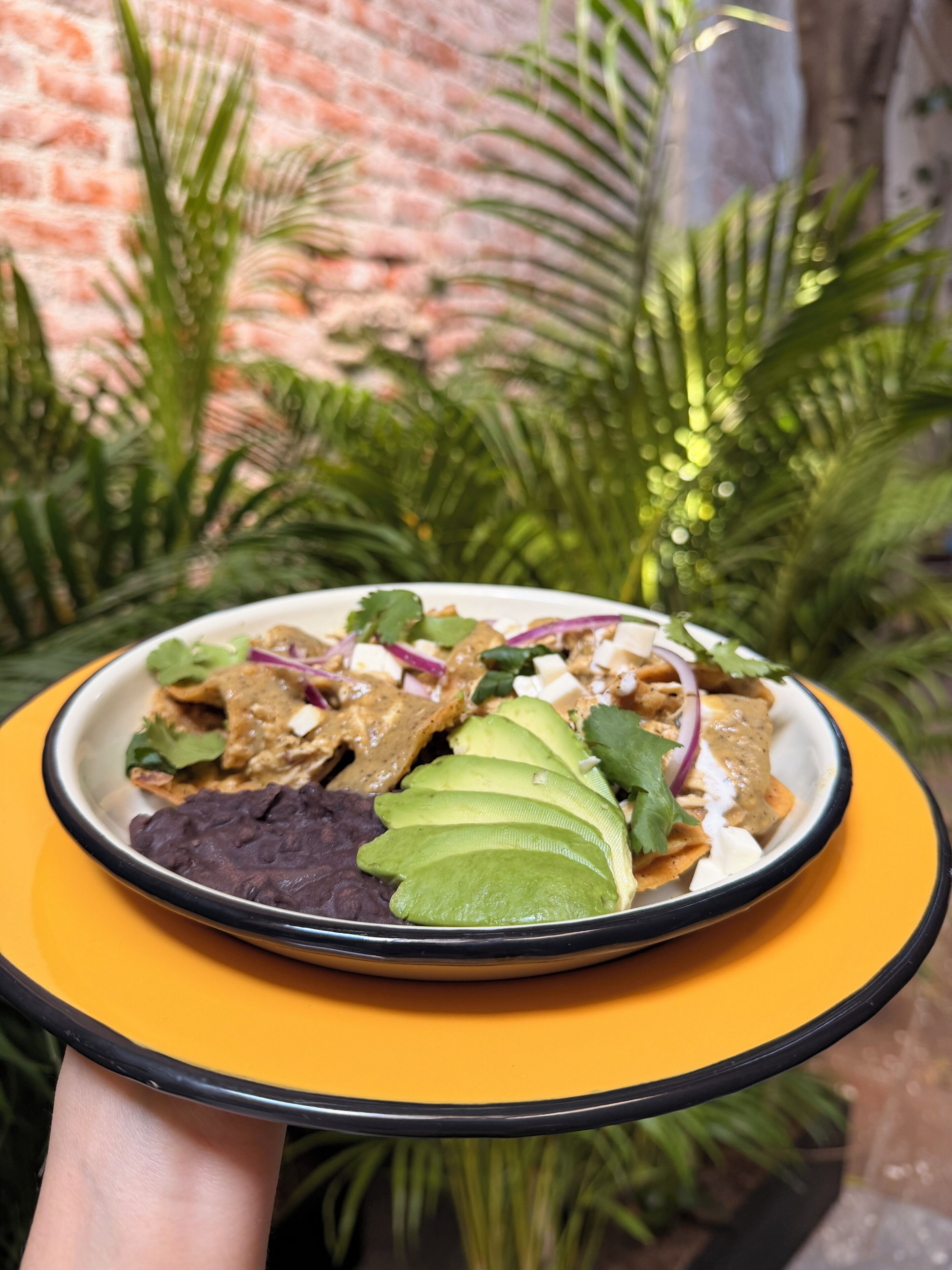 A plate of food with avocado slices, beans, and a creamy sauce, held over a yellow table with a black rim.