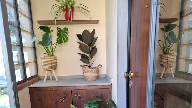 Une porte en bois avec un panneau de verre, un sol carrelé et un petit hall d’entrée avec un tapis.