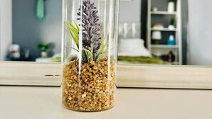 Un vase en verre transparent contenant une plante et du gravier, posé sur un rebord de fenêtre.