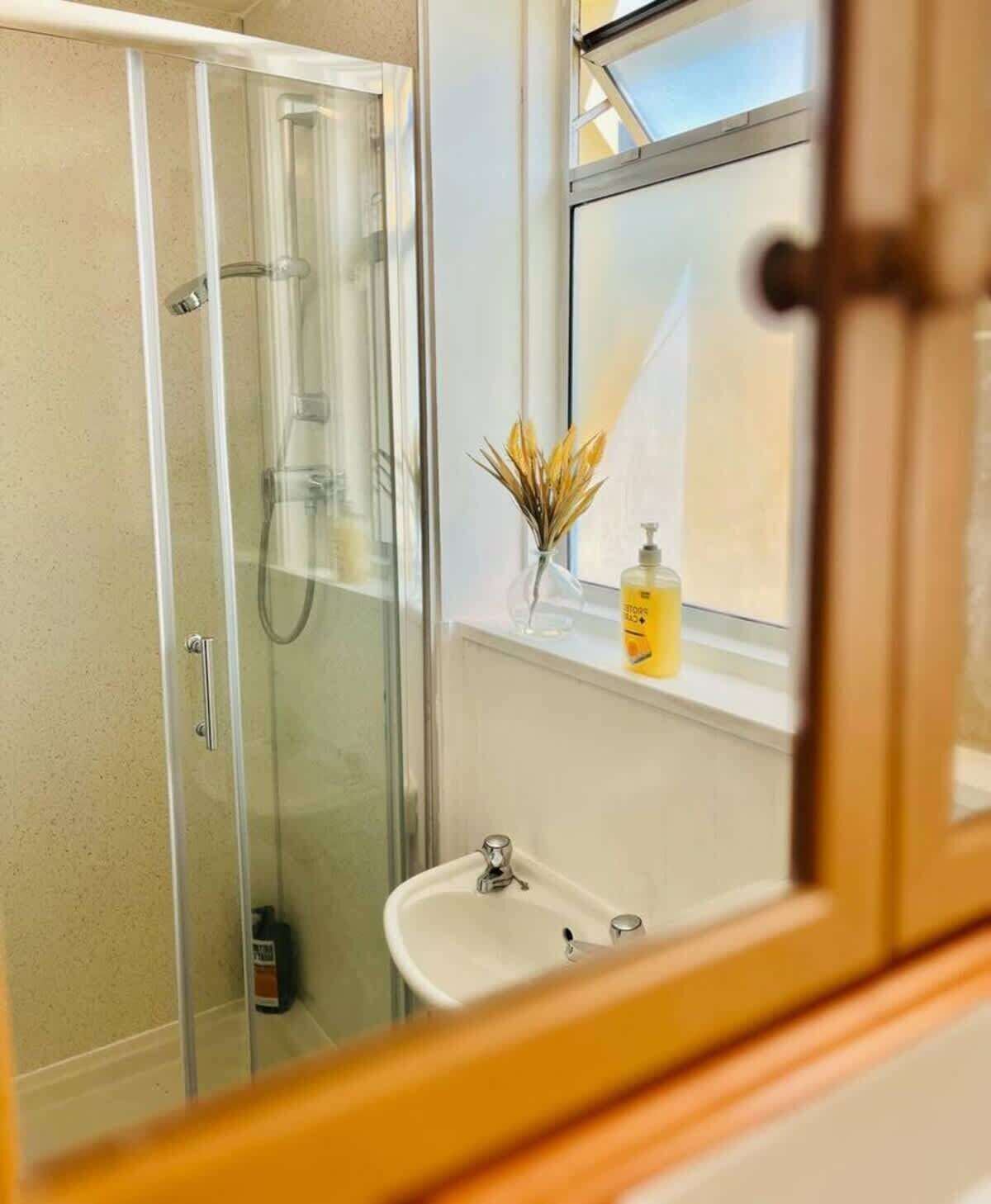 Shower, hair dryer