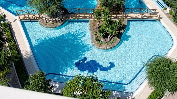 Une grande piscine rectangulaire surmontée d’un pont en bois, entourée d’une végétation luxuriante et d’arbres.