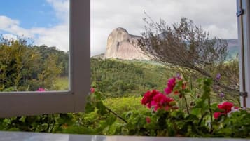 Studio suite, uitzicht op tuin | Interieur