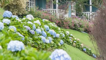 Suite Confort, vista al jardín | Detalle exterior