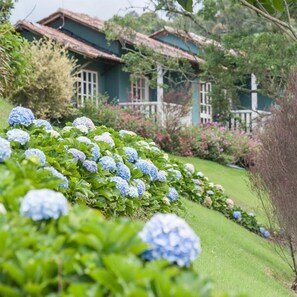 Suite Confort, vista al jardín | Detalle exterior
