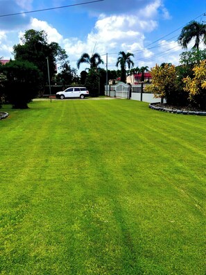 A well-maintained lawn with a white car parked in the background.