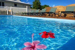 Pool - Koly'Dream - Ti Kozy - Villa with Pool in Saint-François (Saint-François)