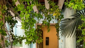 Une entrée abritée, avec des marches menant à une porte, le tout entouré de verdure et agrémenté d’une plante en pot.