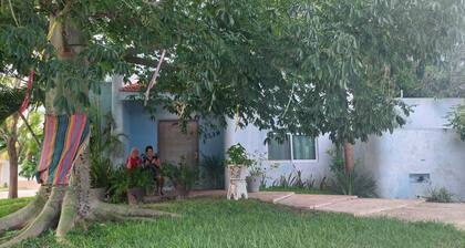 Enchanting 3 bedroom villa in Valladolid/peaceful garden quiet walkable location