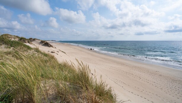 Una playa con dunas de arena y olas del océano.