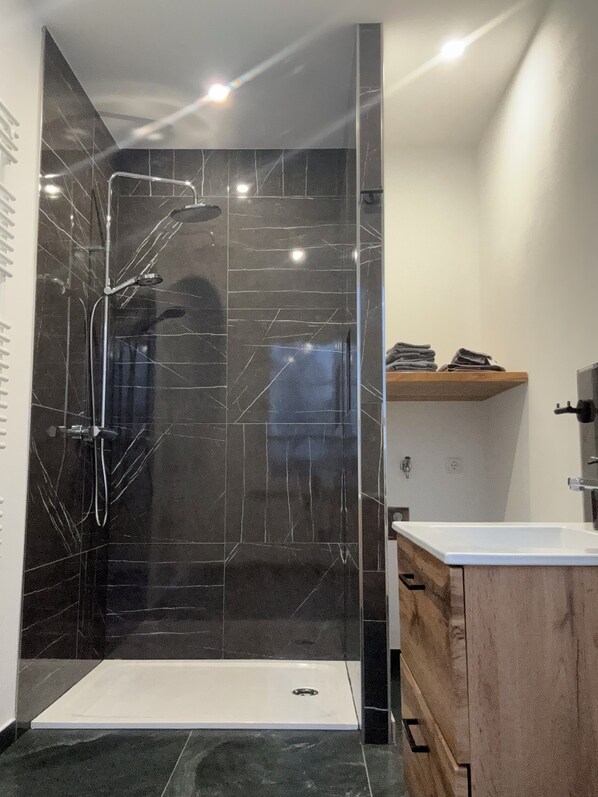 Shower, hair dryer, towels, toilet paper