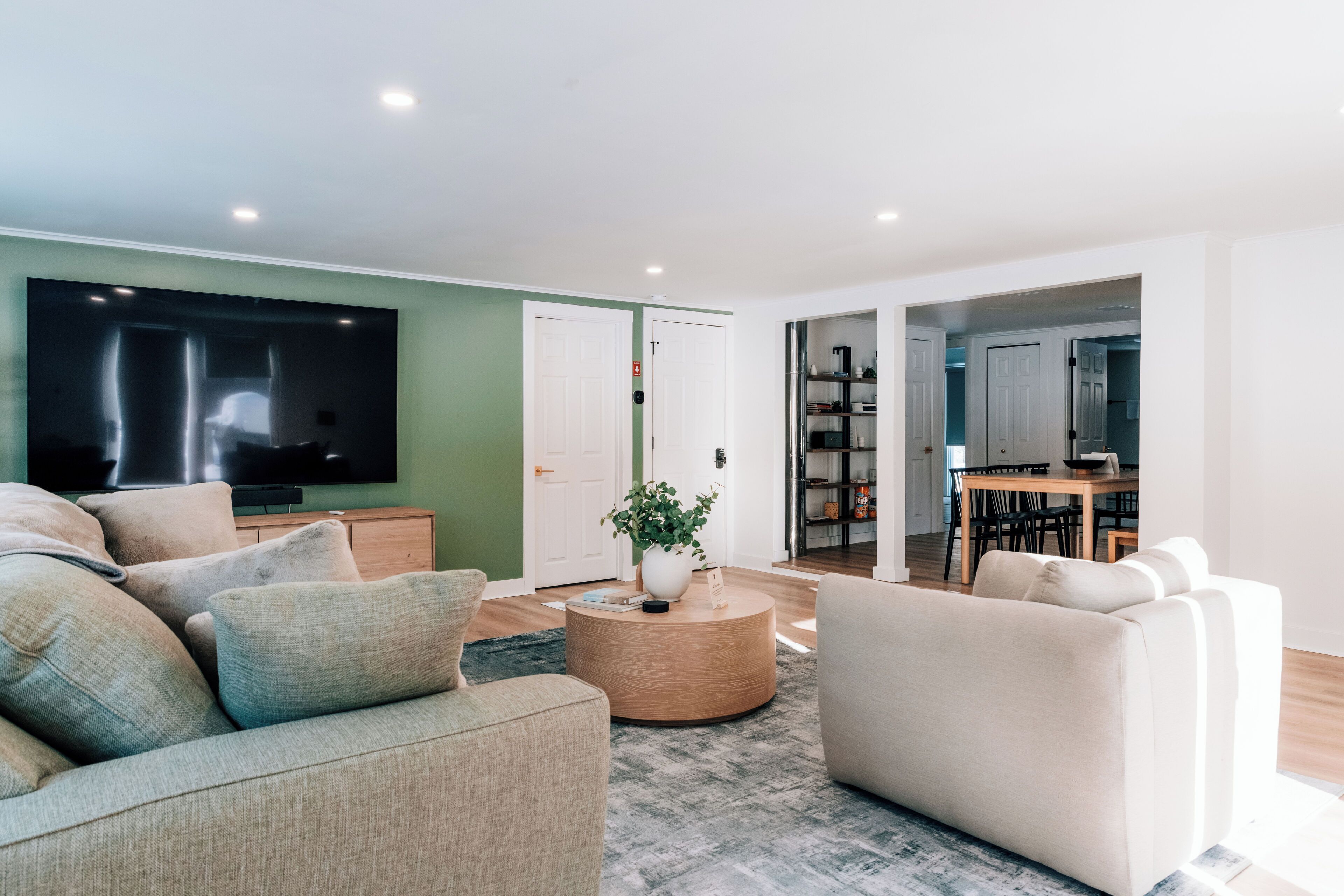 Smart TV, fireplace, books, stereo