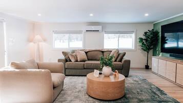 Smart TV, fireplace, books, stereo