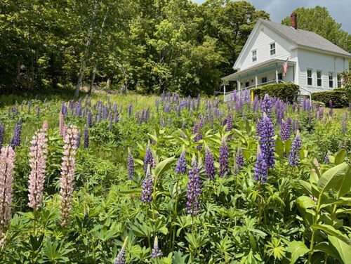 Hillside Respite by Sea Maine