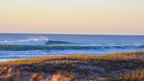 On the beach - 1/20 Kingfisher Drive, Peregian Beach (PEREGIAN BEACH)