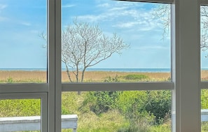 Ein Fenster mit Blick auf einen Strand, einen Baum und eine Wiese.