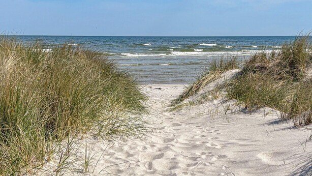 A sandy beach path leading to the ocean, surrounded by grass. - Amazing home in Hals with house a panoramic view (Hals)