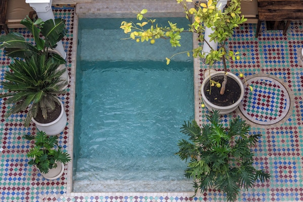 A rectangular pool with a tiled border, surrounded by potted plants and a checkered floor pattern. - Riad du Rabbin (Marrakech)