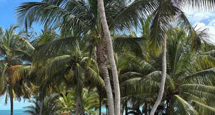 2bedroom beach front house in soothing Río Grande with AC and salt swimming pool