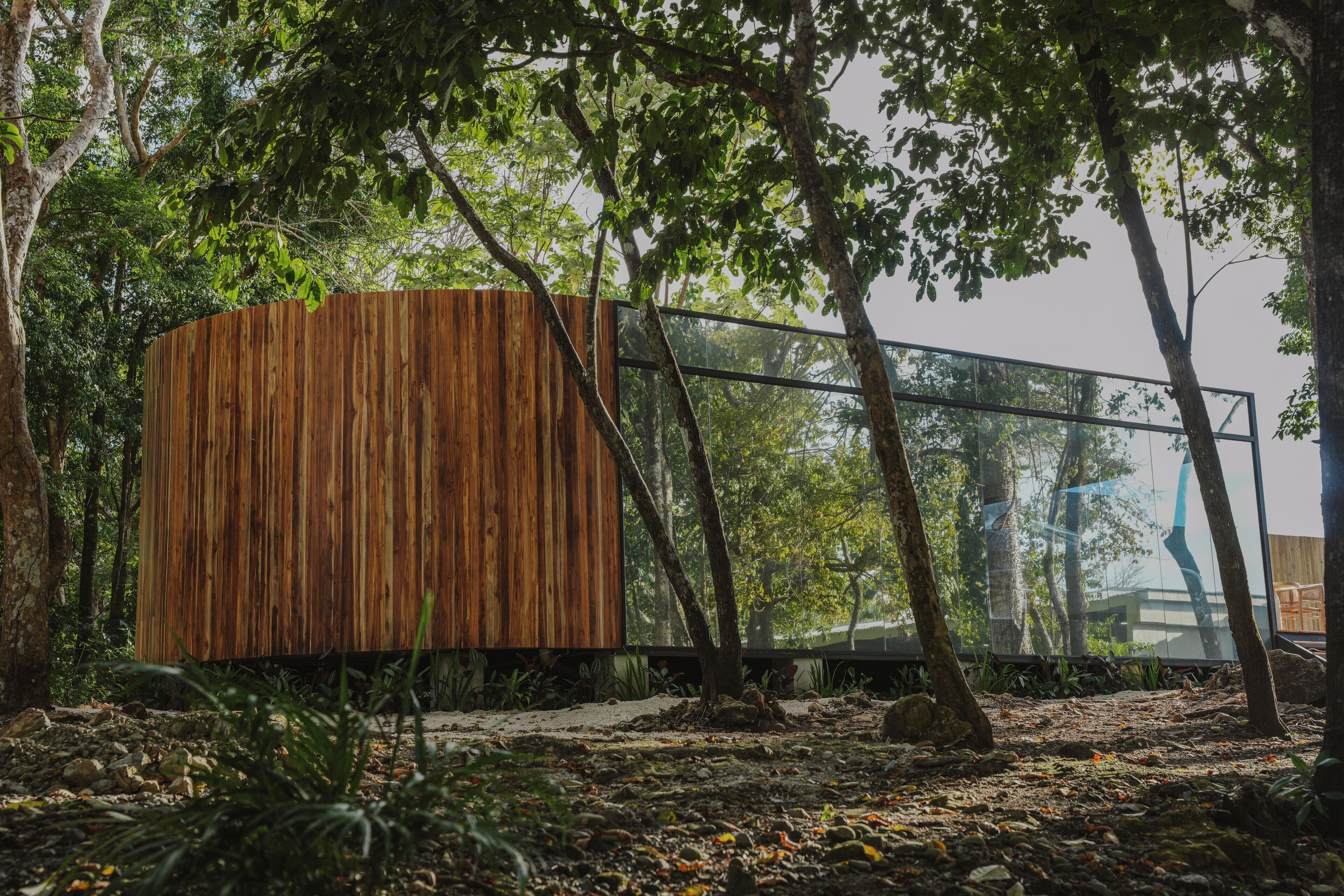 Una estructura de madera con fachada de vidrio, rodeada de árboles y vegetación natural.