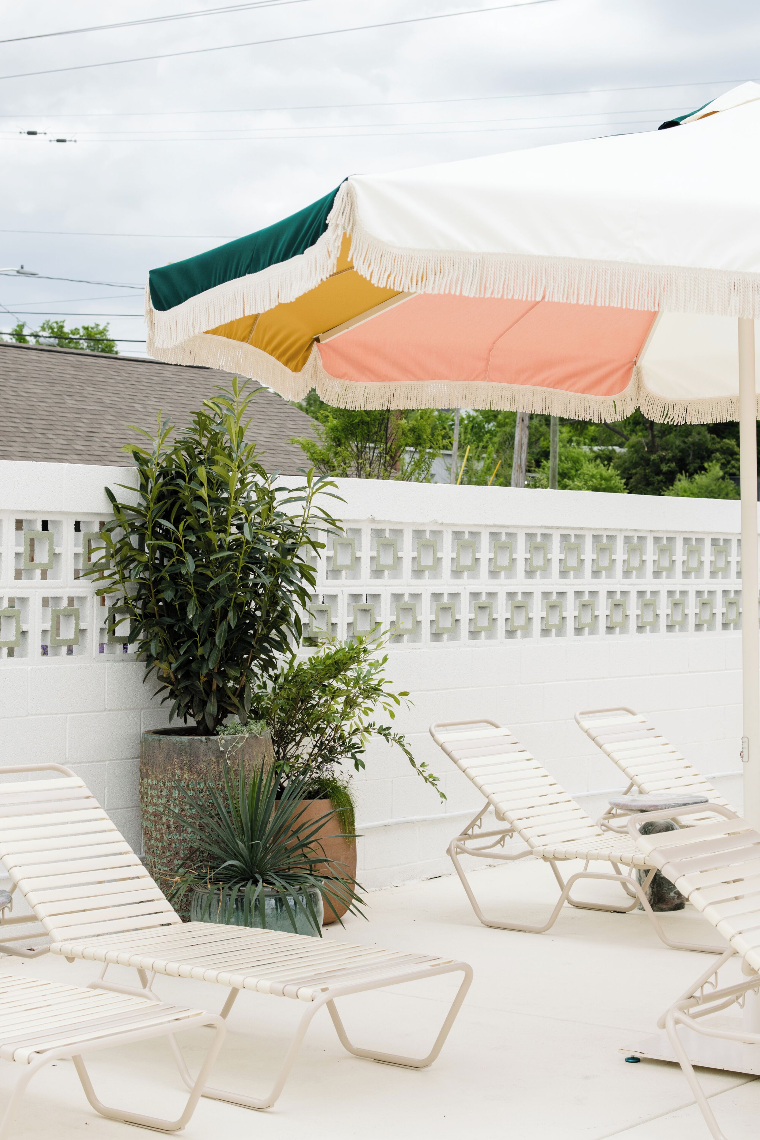 A patio area with lounge chairs, a large potted plant, and a white fence.