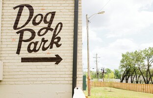 A wall with 'Dog Park' written in large letters and an arrow pointing to the right.