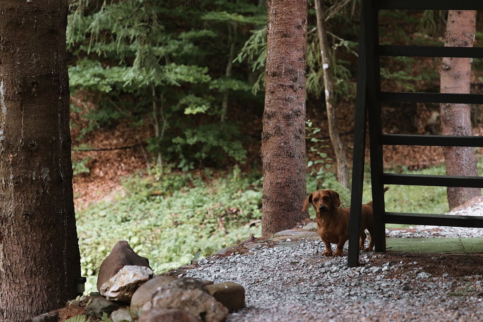 Parco della struttura