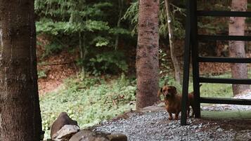 Parco della struttura