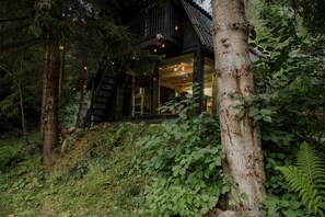 Exterior - The Blackbird Cabin (Munteni)