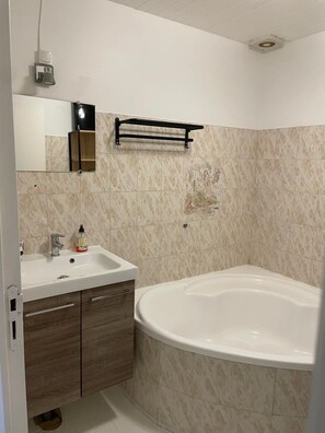 Shower, hair dryer, toilet paper - Gîte de Félix in a charming house of 6ch-20 persons-17 beds with land (Sonnay)