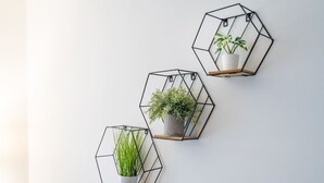 Tre sekskantede vægplantere med planter.