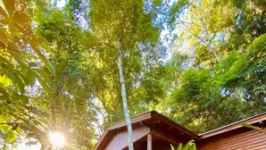A wooden cabin with a porch, surrounded by dense tropical foliage.