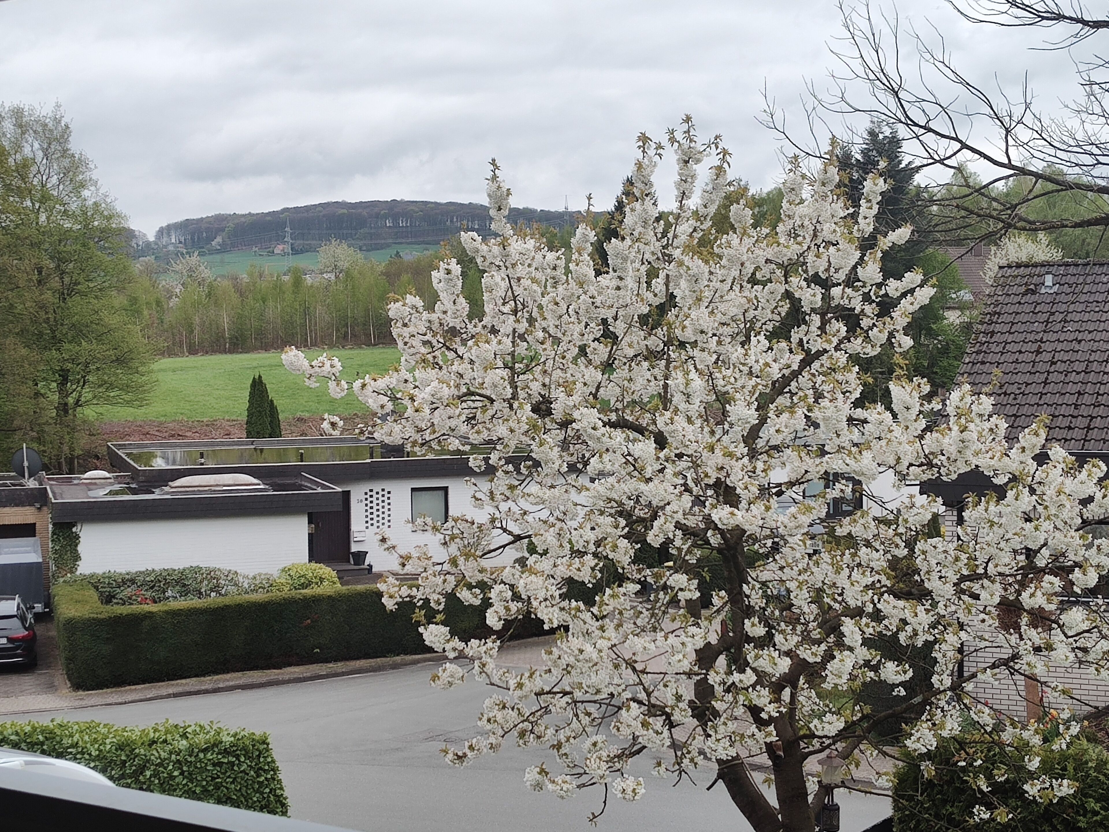 Udsigt fra overnatningsstedet