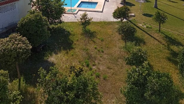 A residential area with a swimming pool, surrounded by greenery and palm trees. - Your best vacations in Mijas (Mijas)