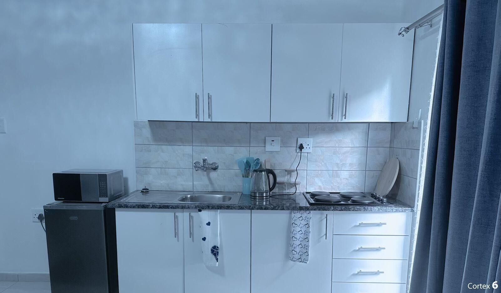 Family Apartment, 1 Bedroom, Kitchen, Garden View | Private kitchen | Mini-fridge, microwave, stovetop, cookware/dishes/utensils