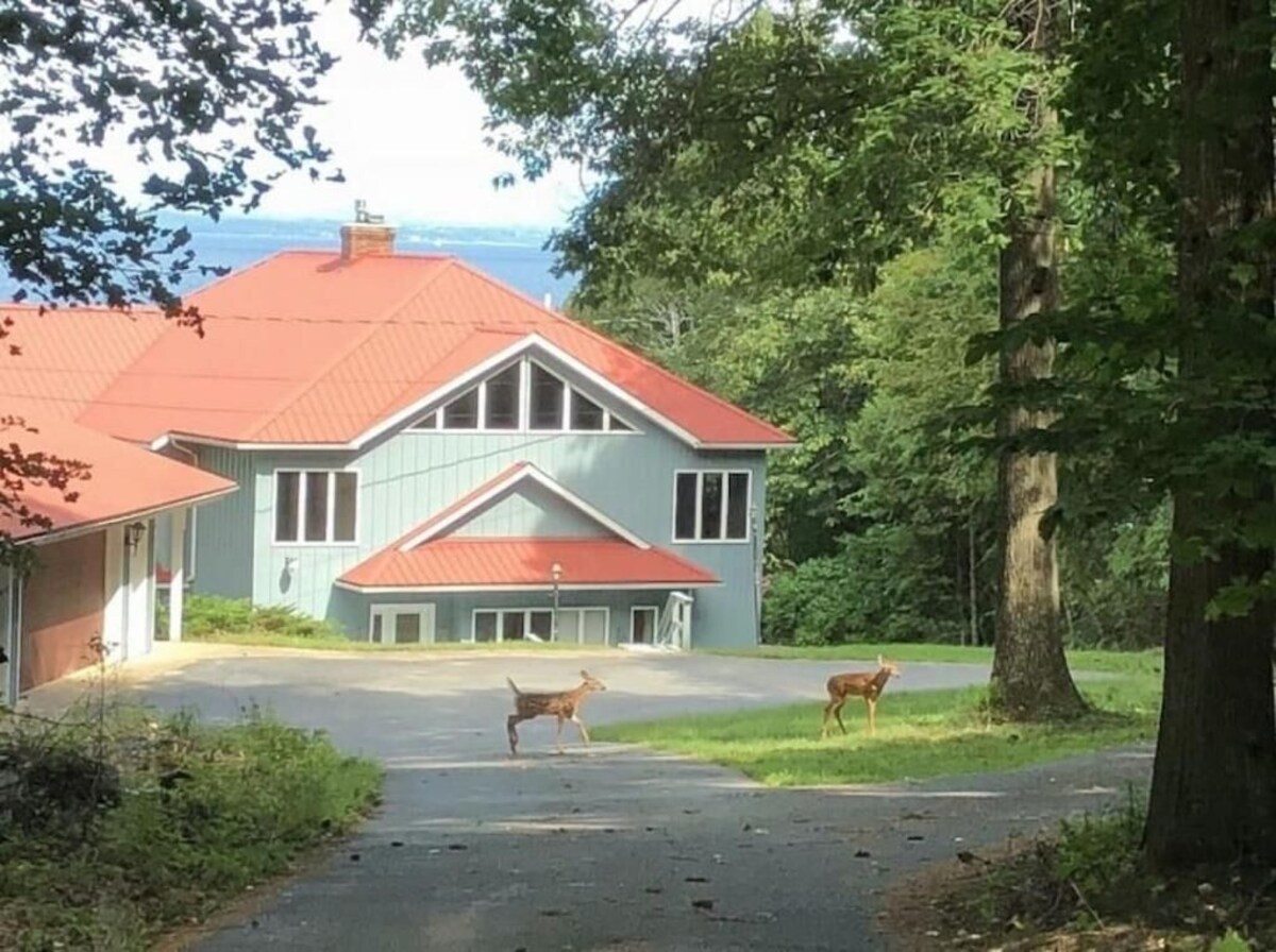 Imagen de perfil del propietario o de la propietaria