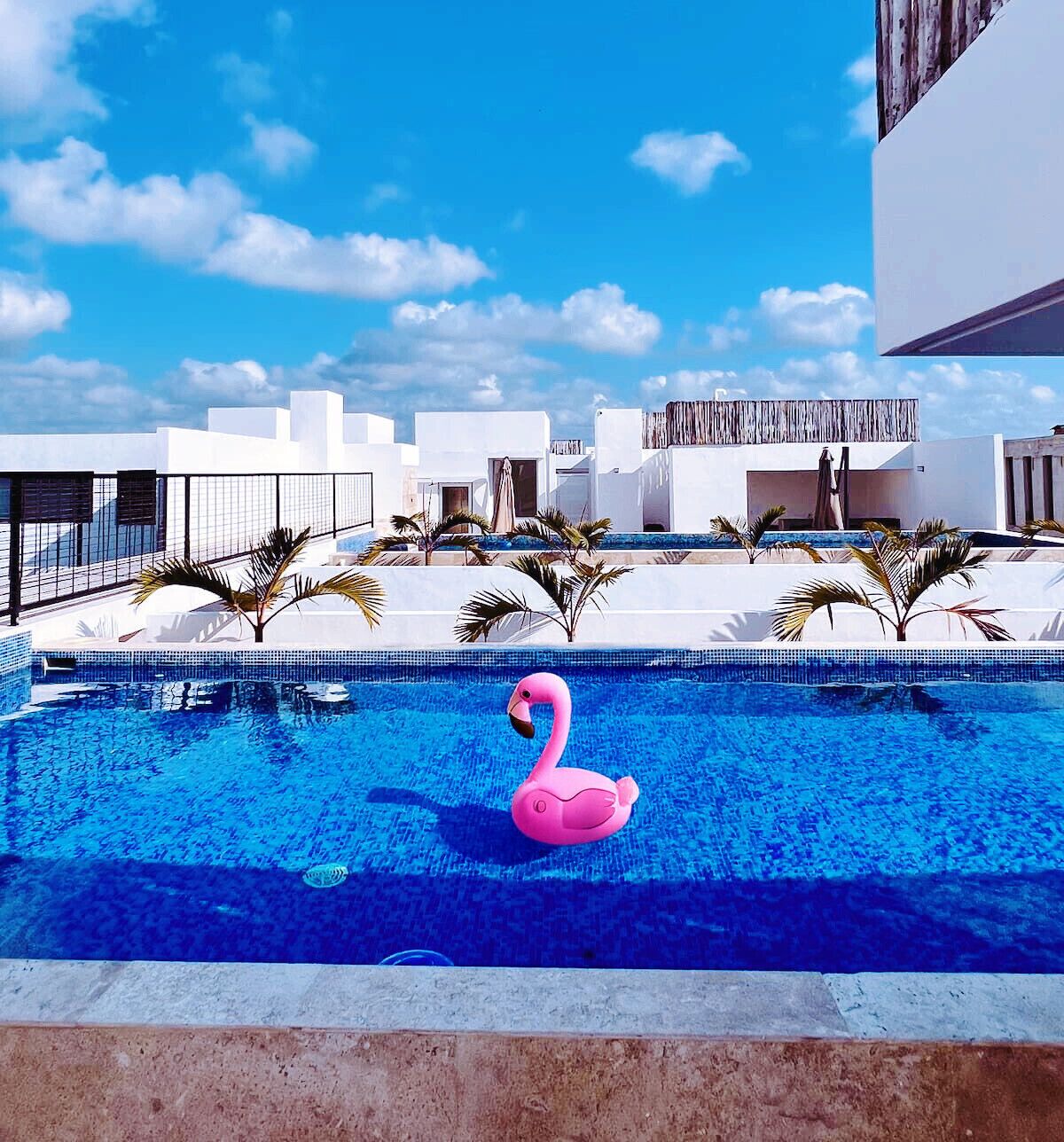 Una piscina con un flotador de flamenco rosa, rodeada de palmeras y edificios modernos.