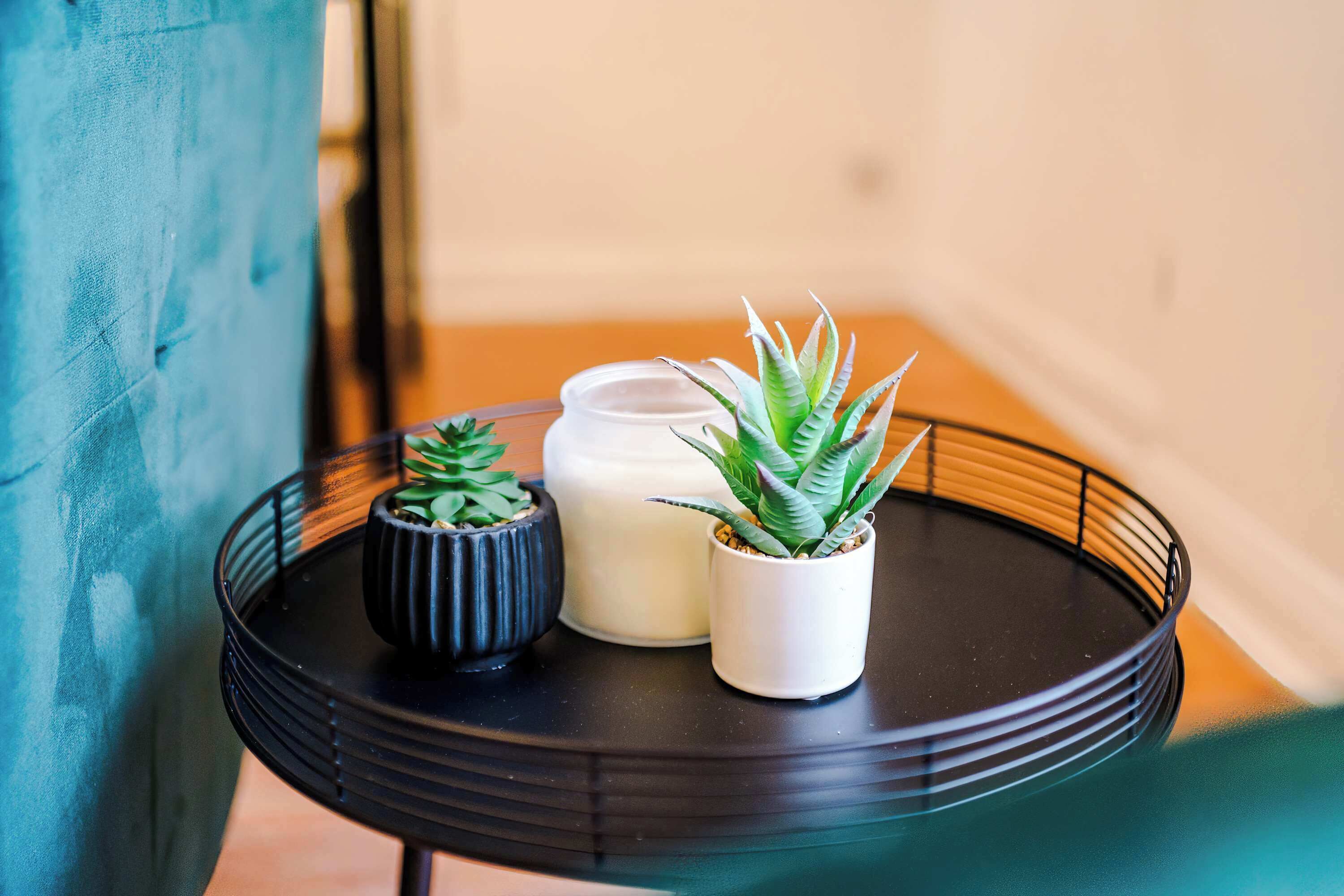 A small round table with a black wireframe design, holding three potted plants and a white container.