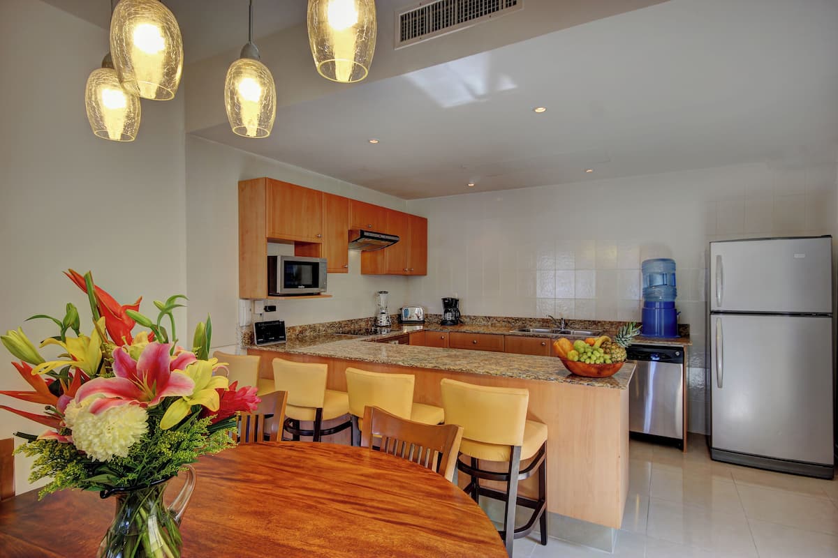 Căn hộ Tiêu chuẩn, ban công, quang cảnh thành phố (Palmar Penthouse 5ta Avenida #307) | Bếp riêng | Lò nướng bánh mì, máy xay thực phẩm, bàn ăn
