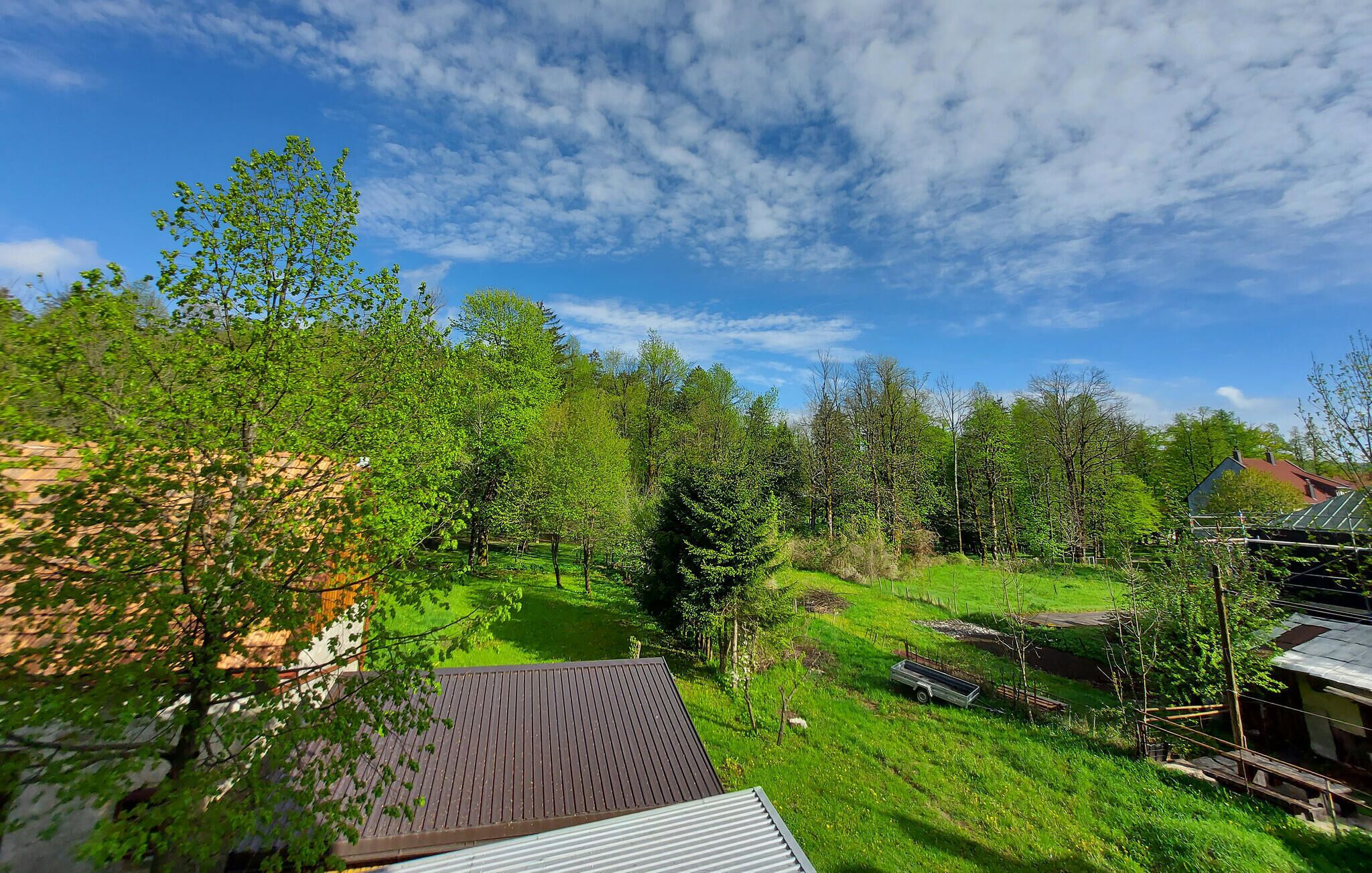 A residential area with a grassy yard, trees, and a house with a sloped roof.