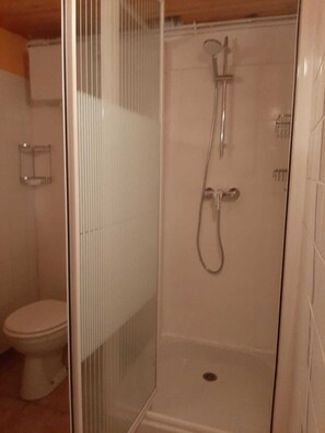 Shower, hair dryer, bidet, towels
