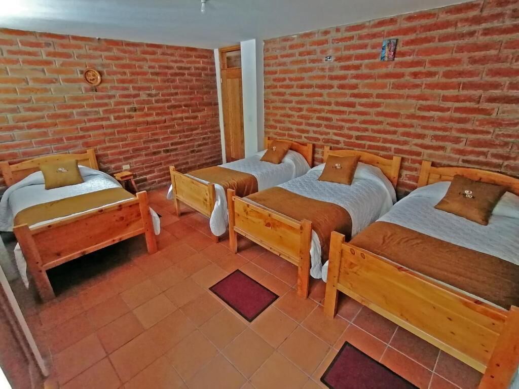 經典共用宿舍, 公園景觀 | 熨斗/熨衣板、免費無線上網